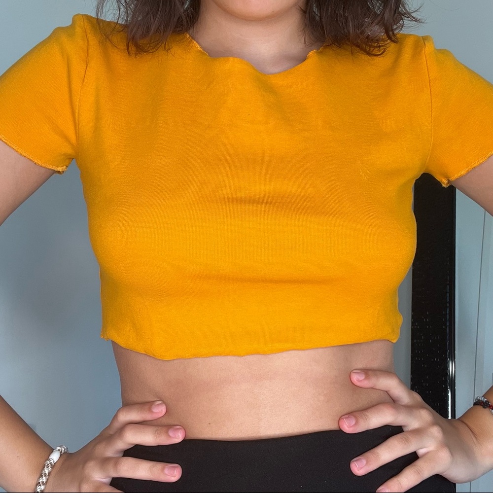 Zara crop top